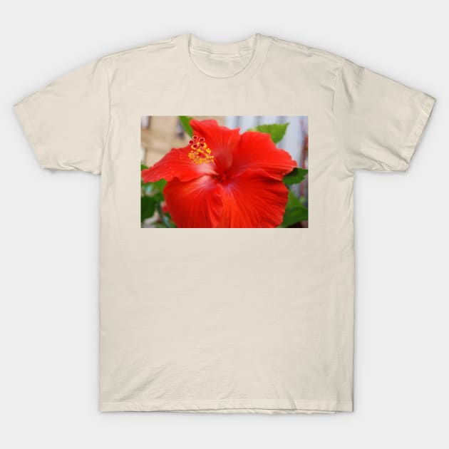 Hibiscous - Chicago IL Mag Mile T-Shirt by zwrr16